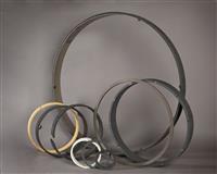 : Piston and Rider Rings