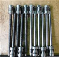 : High-Pressured Piston Rod Assembly (1)